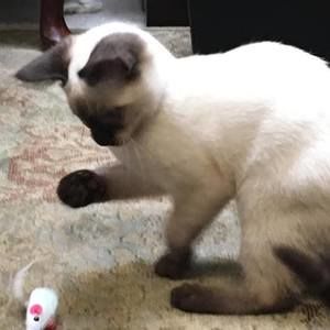 Meet your Posher, Kathy